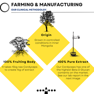 Antioxi Farming and Manufacturing Poster