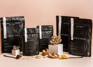 Home page hero image showcasing a range of five Antiox products, including three pouches of fine powder and two pouches of capsules, all derived from various medicinal mushrooms. Each powder pouch is accompanied by a spoon dusted with its corresponding powder, while raw mushrooms are elegantly displayed on small pedestals. Capsules are artistically scattered around the pouches, highlighting the natural ingredients and the health-focused essence of the products.