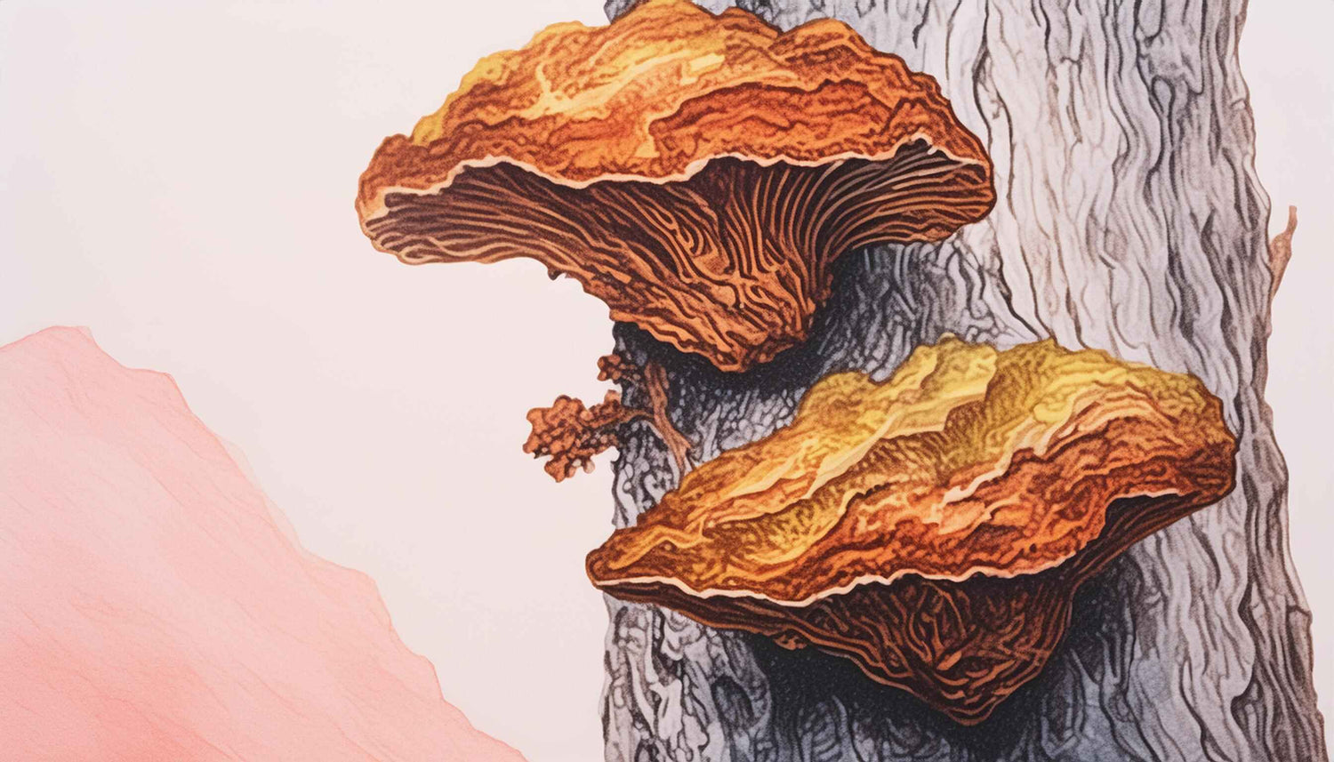 CHAGA'S ACTIVE COMPOUNDS: BENEFITS, EVIDENCE & EVALUATION by Antioxi