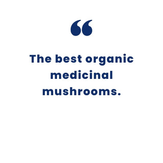 Antioxi Quote on Mushrooms