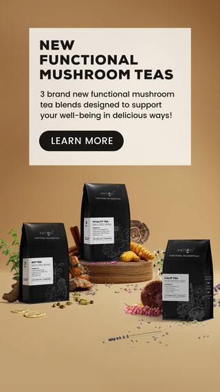 Antioxi Functional Mushroom Tea UK