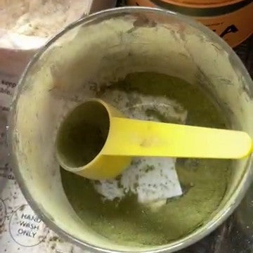 A container filled with Antioxi Alkaline Greens blend, featuring a yellow scoop, showcasing the vibrant green powder ready to be used for a healthy drink.