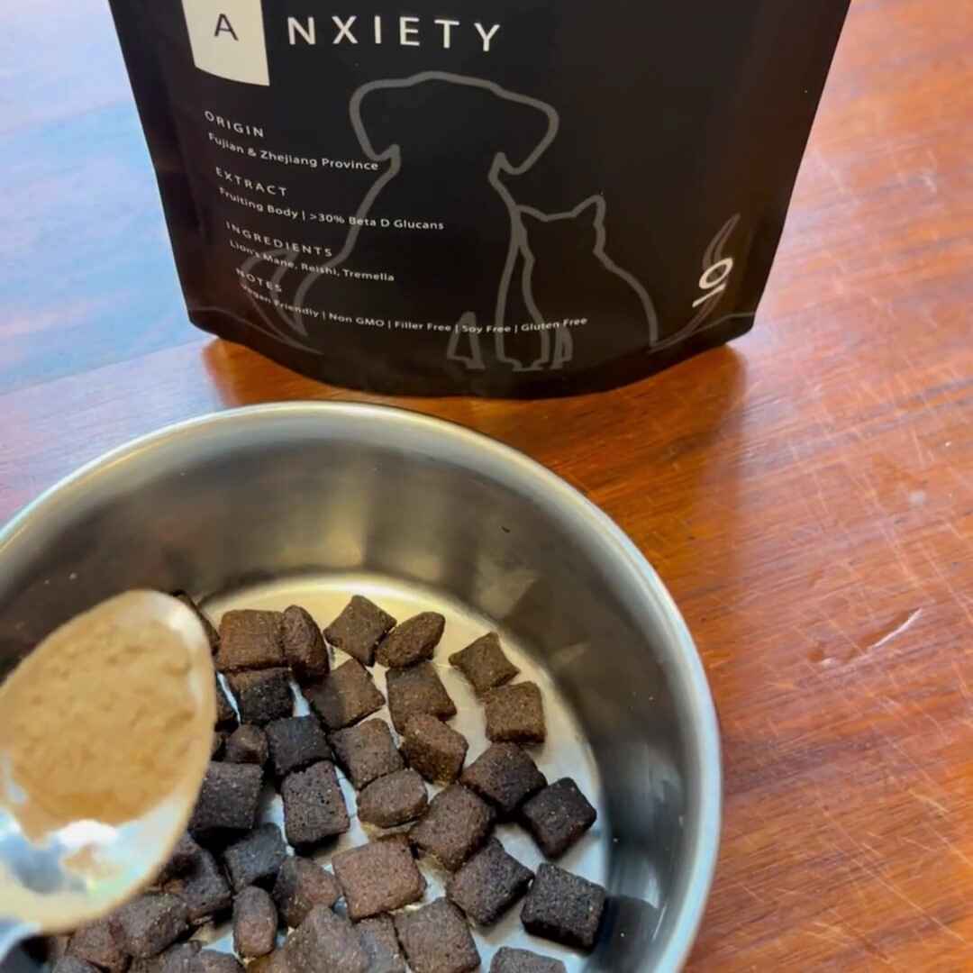 A spoonful of Antioxi Calm & Comfort Blend for Pets being sprinkled over kibble in a pet food bowl, with a black pouch of Antioxi Calm & Comfort Blend for Pets behind it.