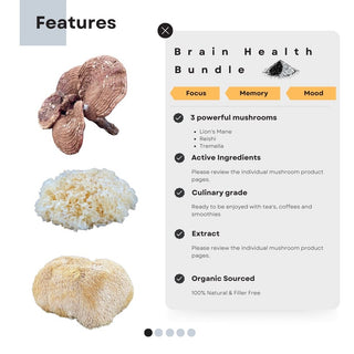 Brain Health Mushroom Bundle