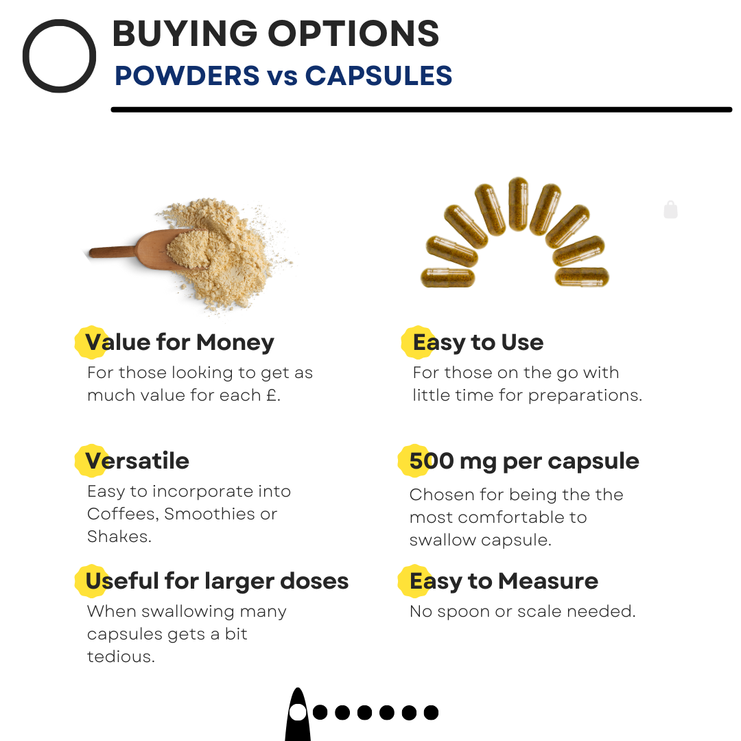 Antioxi Mushroom Extract Buying Option