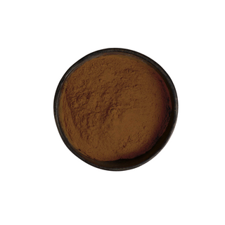 Wholesale - Chaga Powder (Retail Grade)