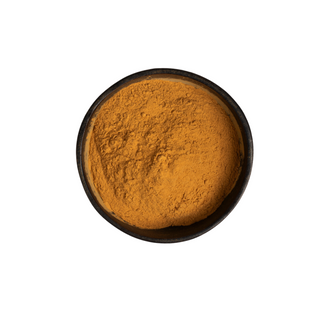 Wholesale Lion's Mane Mushroom Extract Powder by Antioxi