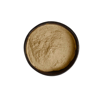 Wholesale - Shiitake Powder (Retail Grade)