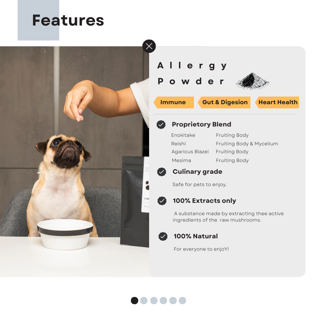 Image showcasing features of Antioxi Allergies Mushroom Extract Powder for dogs and cats, highlighting advanced extraction methods, premium sustainably farmed mushrooms, and vet-verified benefits.